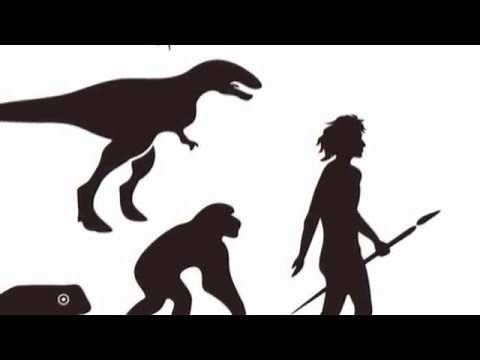 Practical Catholicism: Can Catholics Believe in Evolution?