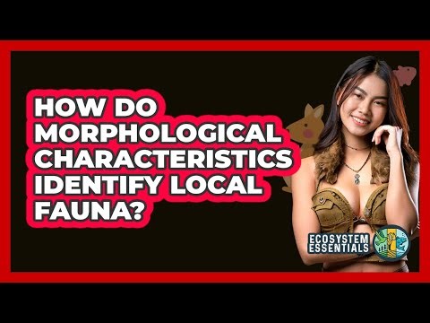 How Do Morphological Characteristics Identify Local Fauna? - Ecosystem Essentials