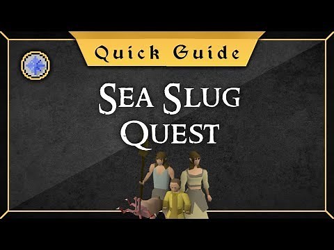 [Quick Guide] Sea slug