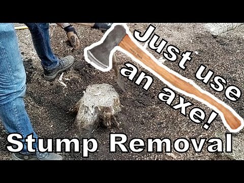 Stump Removal by Brute Force - Just an Axe and a Shovel!