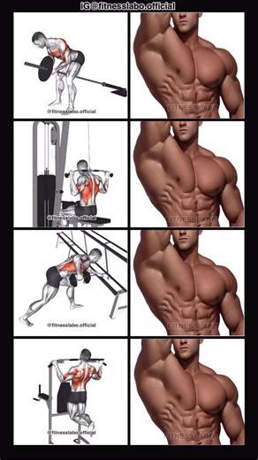 𝗙𝗜𝗧𝗡𝗘𝗦𝗦𝗟𝗔𝗕𝗢 on Instagram: "✅ Exercises for Wider Lats ① T Bar Row ② Behind Lat Pulldown ③ One Arm Row ④ Pull-up 3 sets 12-15 reps"