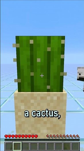 Minecraft.fell.finish