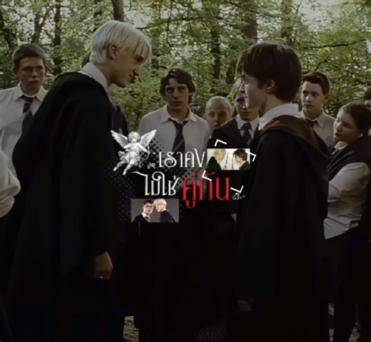 #HPDM ไม่เคยจะได้คู่กันหรอก ( #hpdm #harrydraco #รี่เดรก #hattypotteredit )