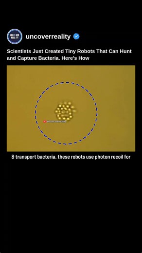 Scientists Just Created Tiny Robots That Can Hunt and Capture Bacteria #robot #shorts