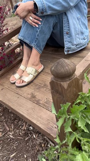 Discover the New Café Sandals from Seychelles Shoes