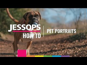 Pet Portraits | Tips & Tricks | Jessops