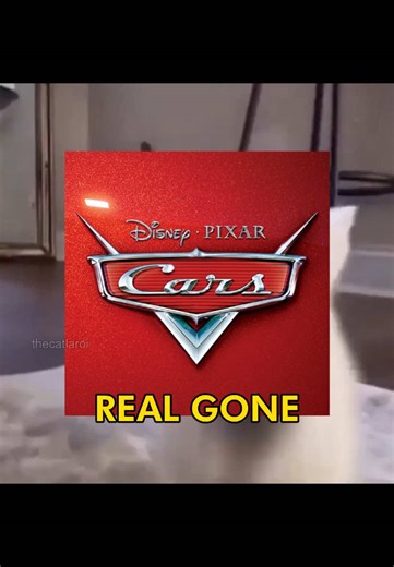 Real Gone - A Cat Lover's Anthem