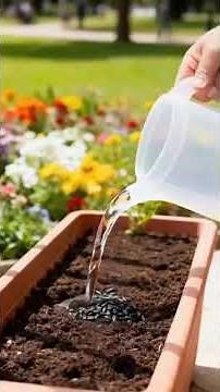 Watch the Shade Come Alive — Grow Your Dream Hosta Garden 🌿