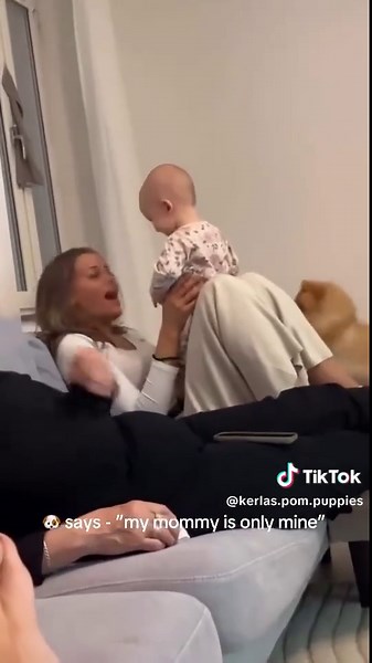 #pomeranian #pom #viral #fyp #pomeranianpuppy