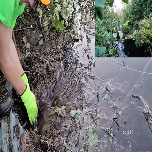 113K views · 1.6K reactions | The Biggest Unclogging I Have Ever Done To Drain A Flooding Road. Floating Moose Piles Part 3 (Shorts Version) #beaverdamremoval #drain #uncloggingdrains #beavers #culvert #beaverdam #unclogging #cleaning #foryou #dam | R. Beato | Facebook