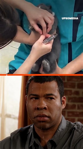 This bunny trembled in fear, but there was no reason for it. He’s just the most dramatic bunny in the world. | The Kiwi