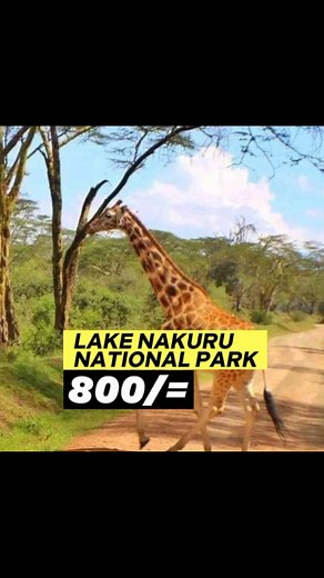 Best Places to Visit in Nakuru, Kenya for Adventure