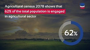How important is agriculture and paddy production to the National economy? | Nepal in Data | Facebook