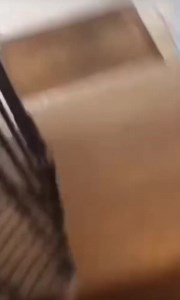 68K views · 4.1K reactions | Ça fait 2 ans qu’on est sur le projet et ça sort enfin ! Hâte que vous puissiez la lire !! #weee, #wee, #funny, #fails, #fail, #memes, #viral, #best, #againstbullying, #dog, #animals, #jump, #cat, #reels, #compilation, #slip, #weeememes, #meme, #instagram, #water, #yeet, #fly, #slide, #laugh, #broke, #pool, #bike, #scream, #bowling, #nuts | Tibod_ | Facebook