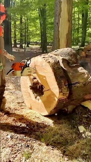 log splitter hydraulic