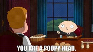 You are a poopy head.