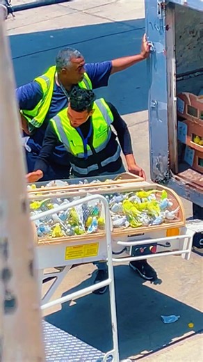 Aviation على TikTok