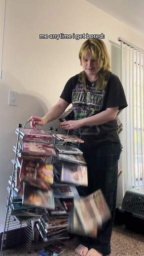 How to Organize Your DVD Collection Effectively