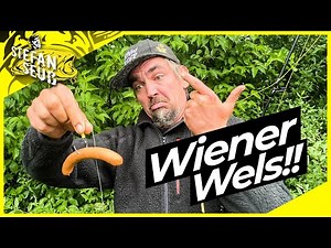 WELS mit WURST !? | DER GEHEIMTIPP zum Welsangeln ??