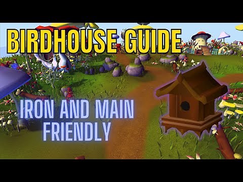 OSRS Birdhouse Guide [Ironman Friendly]