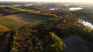 Download Aerial view over a field and forest for free