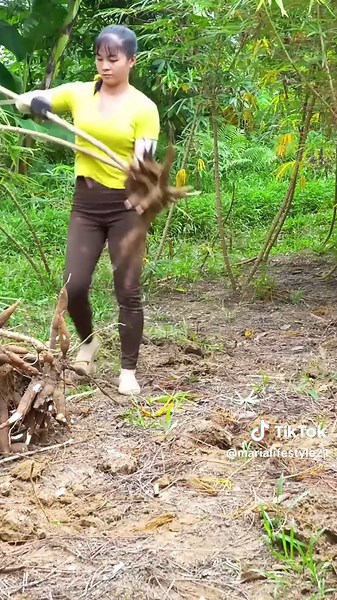 Harvest Big Bananas Go To Market Sell, Buy Ducklings To Raise Anh Free Bushcraft