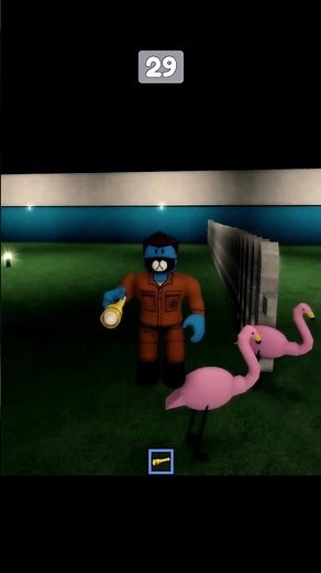 The Pink Flamingos looked peaceful but got angry