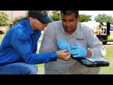 Plano, Frisco & McKinney Lawn Care: Fertilization, Weed & Pest Control Pros