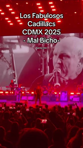 #fabulososcadillacs #losfabulososcadillacs #sandy_she #malbicho #sandy_she