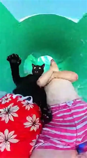 GoPro POV: Cat & Dog Drop From Extreme Water Slide 😱🐱🐶 | INSANE Water Park Ride