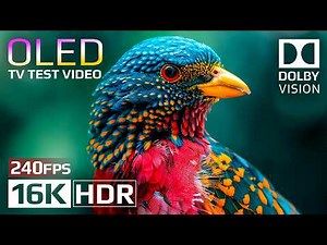 OLED Test Video | Dolby Vision HDR 16K 240fps - Realistic TV Demo for OLED and QLED
