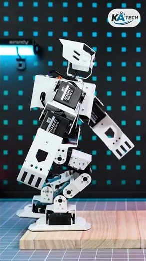 Voice Command Robot | Gadget | KA Tech #shorts #shortvideo #viral #trending #technology #ai