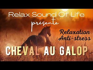 Galloping Horse - ASMR Hoofbeats - Powerful Relaxation, the top ASMR for sleeping