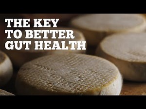 EP: 450 Ancestral Cheesemaking for Better Gut Health: Benefits of Traditional Methods w/ David Asher