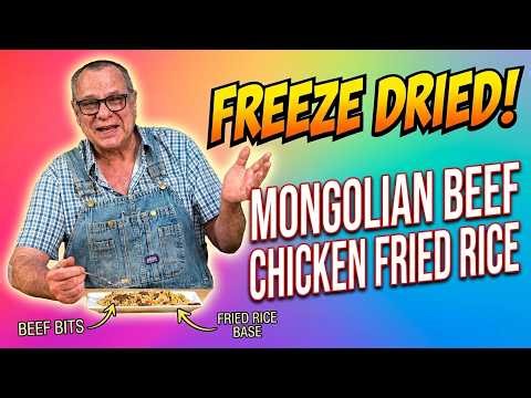 The BEST Freeze Dried Mongolian Beef & Chicken Fried Rice! Ep463