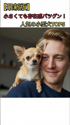 小型犬の魅力TOP5！一緒に暮らしたい犬種ランキング #小型犬