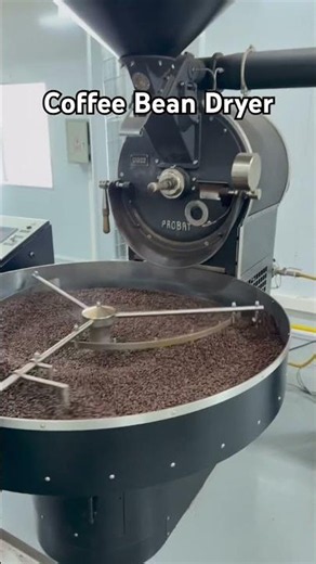 Coffee Bean Dryer #factory #machine