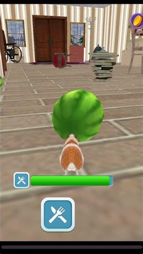 Guniea pig game#trending #cover #music #funny #dongvat #summer #animals #games #chuộtlang #mientay