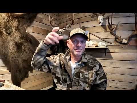 Missing Time, Seeing Tall Beings And Video Of My Ferocious Guard Dog In Action