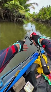 Ikan Mangrove Jack Casting Muara🔥 || Mancing Casting