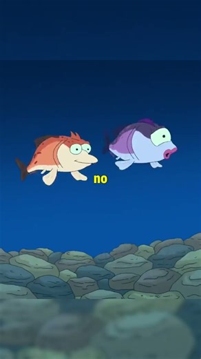 Fray es un pez #futurama #entretenimiento