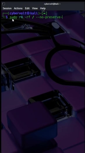 The Forbidden Command: sudo rm -rf /