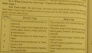 Q. 4. What is meant by food crops? Explain the also known as mo... | Filo