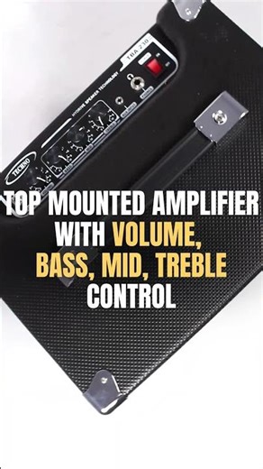 25W Bass Amp Demo 🎸 | Techno TBA230 Amplifie