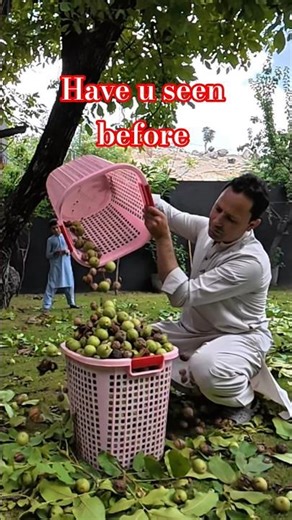 Simple Village Life in Pakistan | Peaceful Rural Lifestyle