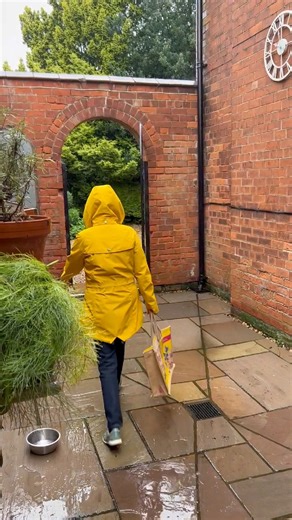 Save a trip to the dry cleaners - Clean & Green : https://www.panmacmillan.com/authors/nancy-birtwhistle/clean-green/9781529049749 #cleaning #tipsandtricks | Nancy Birtwhistle