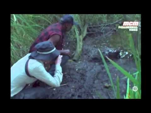 Paranormal Video La creature des marais
