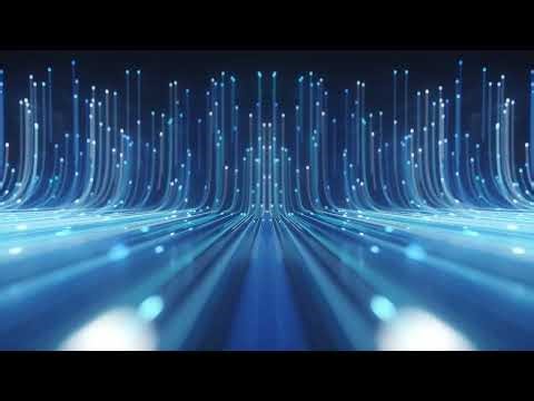 Optimiza tu forma de gestionar el riesgo con Coface Dashboard