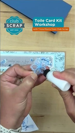 Toile Card Kit | EASY Slimline Card #slimlinecard #cardmaking #handmadecards