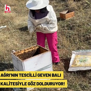 Ağrı'nın Tescilli Geven Balı Kalitesiyle Göz Dolduruyor! Ağrı İbrahim Çeçen Üniversitesi, ürettiği balın kalitesini bilimsel analizlerle belgeliyor. Hem öğrencilere uygulamalı eğitim imkanı sunan hem de arıcılara destek veren üniversite, bölgenin zengin florasından elde edilen organik balıyla dikkat çekiyor. | Halk TV